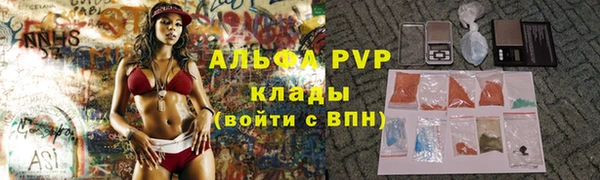 СК Новокубанск