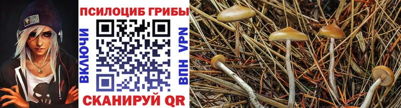 Галлюциногенные грибы мухоморы что такое МЕГА зеркало Порхов